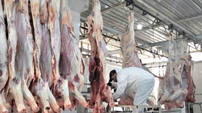 "الزراعة": المجازر الحكومية استقبلت 9898 أضحية في أول أيام العيد