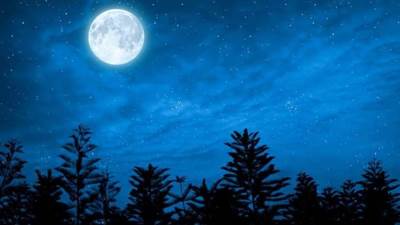 "البحوث الفلكية": بدر ذي الحجة يكتمل الأربعاء وبدء العام الهجري الجديد 26 يونيو