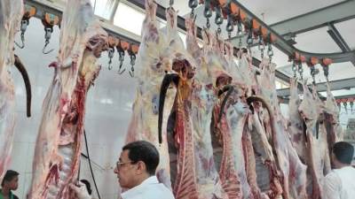 "الزراعة": المجازر الحكومية استقبلت أكثر من 28 ألف أضحية خلال 3 أيام لعيد الأضحى