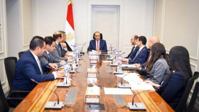 وزير الخارجية والهجرة يؤكد أهمية ترسيخ الحضور المصري الفاعل على الساحة الإفريقية