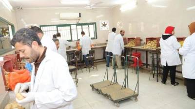 "الزراعة" تعلن فحص أكثر من 1.3 مليون طن بطاطس مائدة معدة للتصدير إلى الخارج