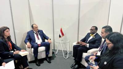 وزير قطاع الأعمال يلتقي رئيس مجموعة البنك الأفريقي للتنمية لبحث التعاون