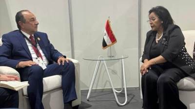 وزير قطاع الأعمال العام يجتمع مع الرئيسة التنفيذية لوكالة تنمية الاتحاد الأفريقي "أودا-نيباد"