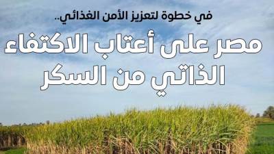 مجلس الوزراء: مصر على أعتاب الاكتفاء الذاتي من السكر