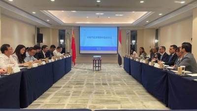 وزير الاستثمار والتجارة الخارجية يشارك بفعاليات المائدة المستديرة لقطاع السيارات 