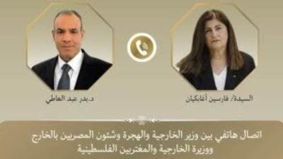 وزير الخارجية يستعرض جهود مصر لاستئناف وقف إطلاق النار فى قطاع غزة