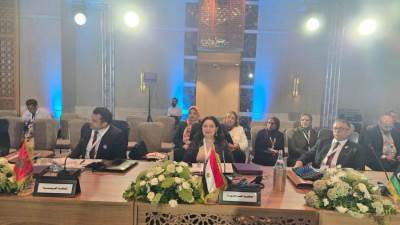نائبة وزيرة التضامن تترأس الوفد المشارك فى أعمال "الاجتماع العربي الإقليمي رفيع المستوى" بتونس