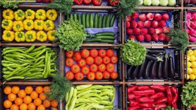 سلامة الغذاء: تصدير 185 ألف طن مواد غذائية .. وتركيا والسعودية واندونيسيا وأمريكا اكبر المستوردين