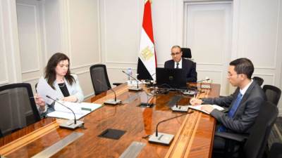 وزير الخارجية يشارك في اللقاء الافتراضي مع الجالية المصرية بواشنطن ونيويورك