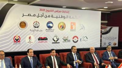 بيان الاجتماع التنسيقي الثاني للقائمة الوطنية من أجل مصر بشأن انتخابات الشيوخ