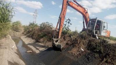 الزراعه: إزالة 39 حالة تعدي وقافلة بيطرية كبرى و20 ندوة إرشادية واستمرار تطهير المساقي