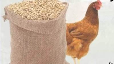 جهود وزارة الزراعة لدعم الثروة الحيوانية والداجنة خلال الفترة: 1 يوليو 2024 إلى 30 يونيو2025