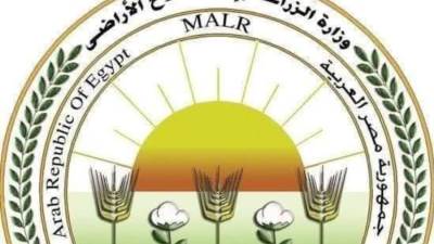 "الزراعة" تعلن عن موافقة الاتحاد الأوروبي على تيسير إجراءات تصدير البطاطس المصرية إليها