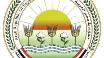 وزير الزراعة: لدينا برامج لدعم منظومة تربية الجاموس المصري  لتحسين إنتاجيته