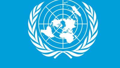 الأمم المتحدة: غزة تتضور جوعًا والمأساة الإنسانية تتفاقم وسط طوابير الطعام وصراخ الجوعى