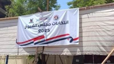 الوطنية للانتخابات تتلقى التظلمات على نتائج انتخابات الشيوخ 2025 اليوم
