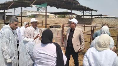 "الزراعة" تكشف تفاصيل قصة نجاح الوزارة في حماية الثروة الحيوانية من العترة الجديدة لفيروس الحمي القلاعية