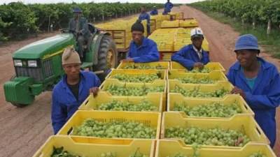 جنوب إفريقيا تقترب من قرار حاسم بشأن رسوم ترامب على واردات الصلب