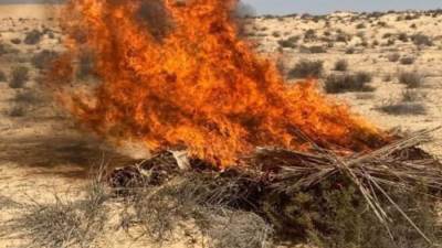 ضربة أمنية حاسمة.. ضبط كميات كبيرة من المخدرات في الإسماعيلية بقيمة 795 مليون جنيه