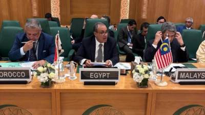  وزير الخارجية يشارك في الدورة الاستثنائية لمجلس وزراء خارجية الدول الأعضاء لبحث العدوان الإسرائيلي على فلسطين 