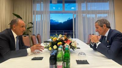 وزير الخارجية يبحث مع المدير العام للطاقة الذرية الجهود الحثيثة التي تبذلها مصر لخفض التصعيد في المنطقة