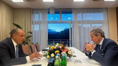 وزير الخارجية يجتمع مع المدير العام للوكالة الدولية للطاقة الذرية