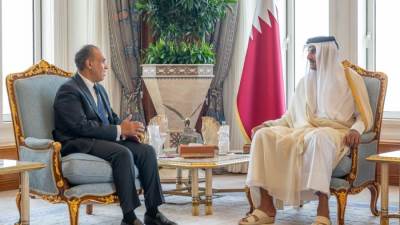 وزير الخارجية ينقل رسالة تضامن ودعم من الرئيس السيسى إلى أمير قطر