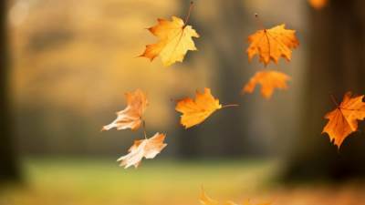 البحوث الفلكية: انتهاء الصيف 21 سبتمبر وبداية الخريف في اليوم التالي