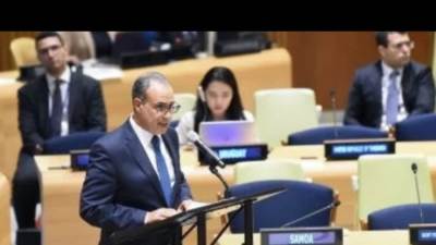 وزير الخارجية يدعو إلى ضرورة نزع السلاح النووى