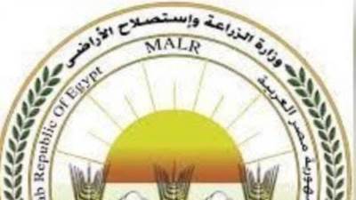 الزراعة: لا صحة لما أثير حول وجود طماطم في الأسواق تم رشها بمادة "الإيثريل" لتسريع النضج والتلوين الخارجي للثمرة