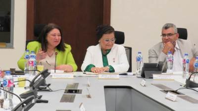 نائب وزير الصحة والسكان ترأس اجتماعًا حول الملف الوطني “طول العمر الصحي"