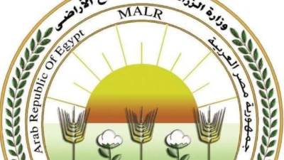  "الزراعة": دعوات الامتناع عن إطعام الكلاب الضالة سلوك مخالف للشرع والقانون