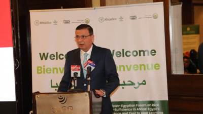 مصر تدعو أفريقيا لـ"التعاون المشترك" وتحويل نجاحها في الأرز إلى "رصيد قاري"