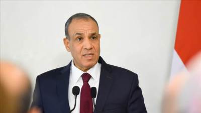 وزير الخارجية: مصر تستضيف مؤتمرا دوليا لإعادة إعمار غزة فى نوفمبر