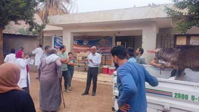 "البحوث الزراعية" يطلق 3 قوافل بيطرية مجانية في القليوبية لدعم صغار المربين