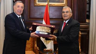 رئيس "الدستورية العليا" يهنئ المستشار عصام فريد بمناسبة توليه رئاسة "الشيوخ"