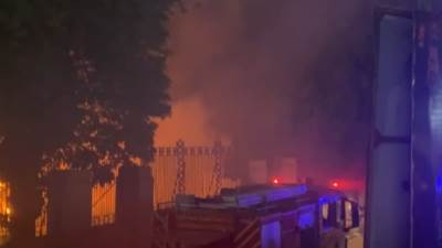 "الزراعة:  السيطرة على حريق محدود بـ"مخلفات تقليم الأشجار" في المتحف الزراعي دون خسائر