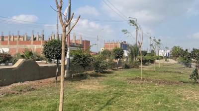وزيرة التنمية المحلية تعلن انطلاق المرحلة الرابعة من المبادرة الرئاسية "100 مليون شجرة" بمحافظة الشرقية