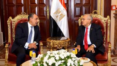 وزير الخارجية يلتقي رئيس مجلس الشيوخ