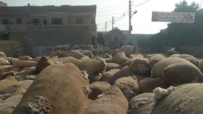 "الزراعة": ضبط شونة ضخمة لتخزين وبيع القطن "بدون ترخيص" في الشرقية