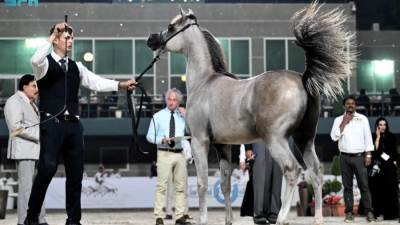 وزير السياحة والآثار يتفقد سير العمل بالمتحف المصري الكبير ويلتقي السياح وطلبة المدارس