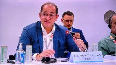 وزير المالية: نتطلع لدور أكبر للمؤسسات الدولية في التمويل الأخضر الميسر لدفع التنمية المستدامة بالدول النامية