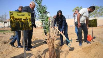 وزيرة التضامن الاجتماعي تغرس نخلة في حديقة 30 يونيو بالوادي الجديد 