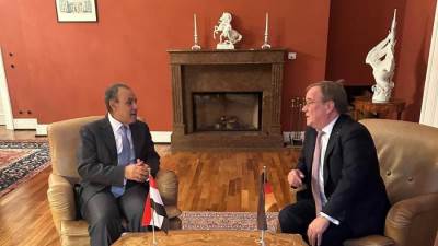 وزير الخارجية يلتقي رئيس لجنة العلاقات الخارجية بالبرلمان الألماني