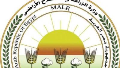 "الزراعة" تعلن تحصين الماشية بأكثر من 8.1 مليون جرعة للقاحي الحمى القلاعية والوادي المتصدع حتى الآن