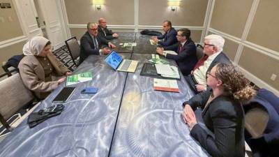  رئيس اقتصادية قناة السويس يستعرض الفرص الاستثمارية أمام مؤسسات وشركات أمريكية بالقطاعات المستهدفة