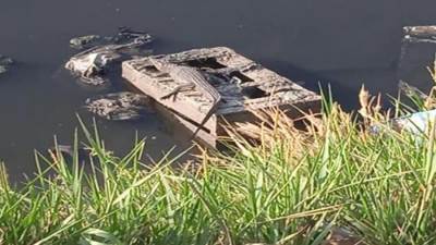 محافظ الشرقية يقرر تشكيل فرق عمل متخصصة لبيان وجود تماسيح قرية الزوامل