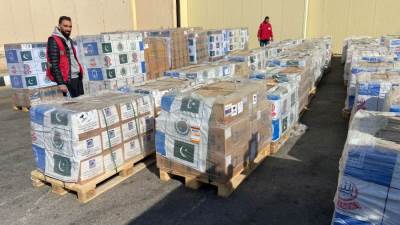 مطار العريش يستقبل طائرة مساعدات باكستانية تحمل 100 طن للفلسطينيين بغزة