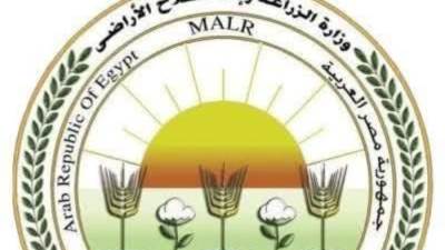 "الزراعة" تعلن تحصين الماشية بأكثر من 8.5 مليون جرعة للقاحي الحمى القلاعية والوادي المتصدع حتى الآن