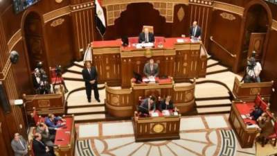 مجلس الشيوخ يوافق مبدئيًّا على تعديل قانون الكهرباء